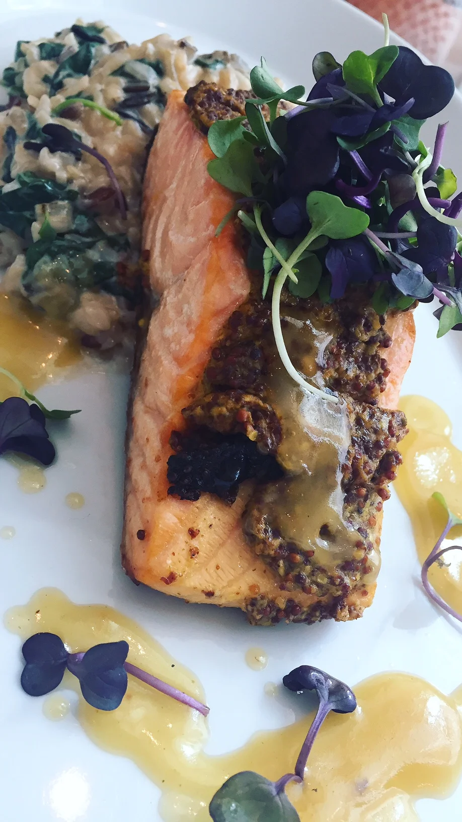 Elia Gourmet: Downtown's Fresh Food Spot