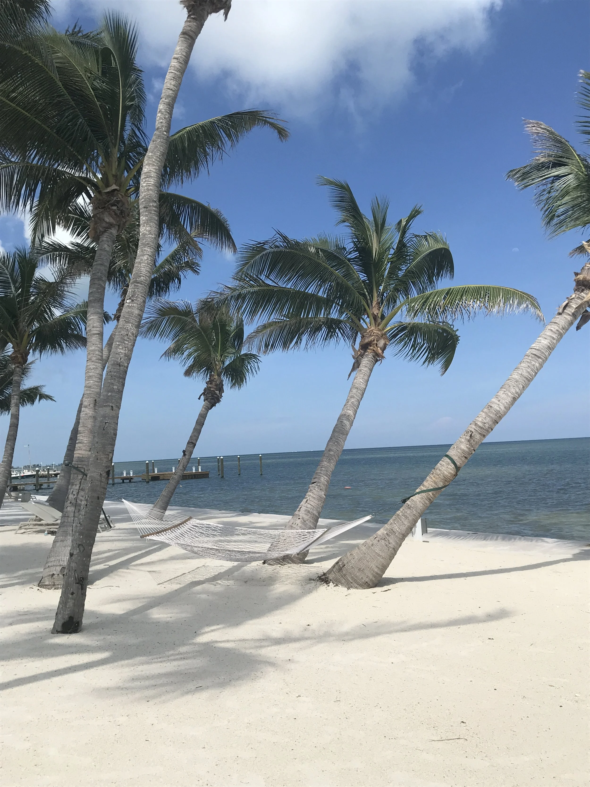 Travel Tuesday: Destinations You'll Be At By Lunch - Islamorada Edition