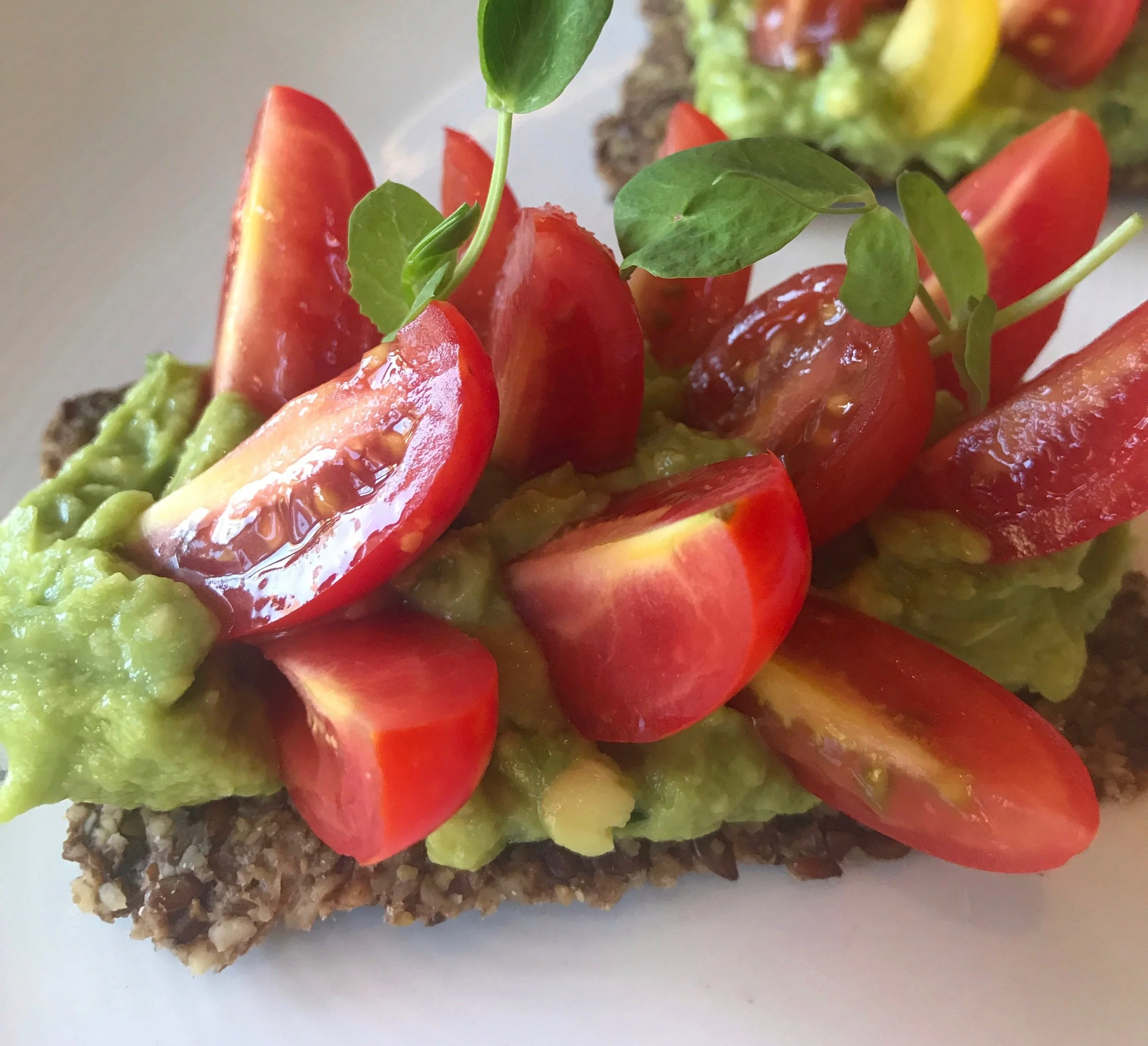 To Spice Or Not To Spice: Plant Miami