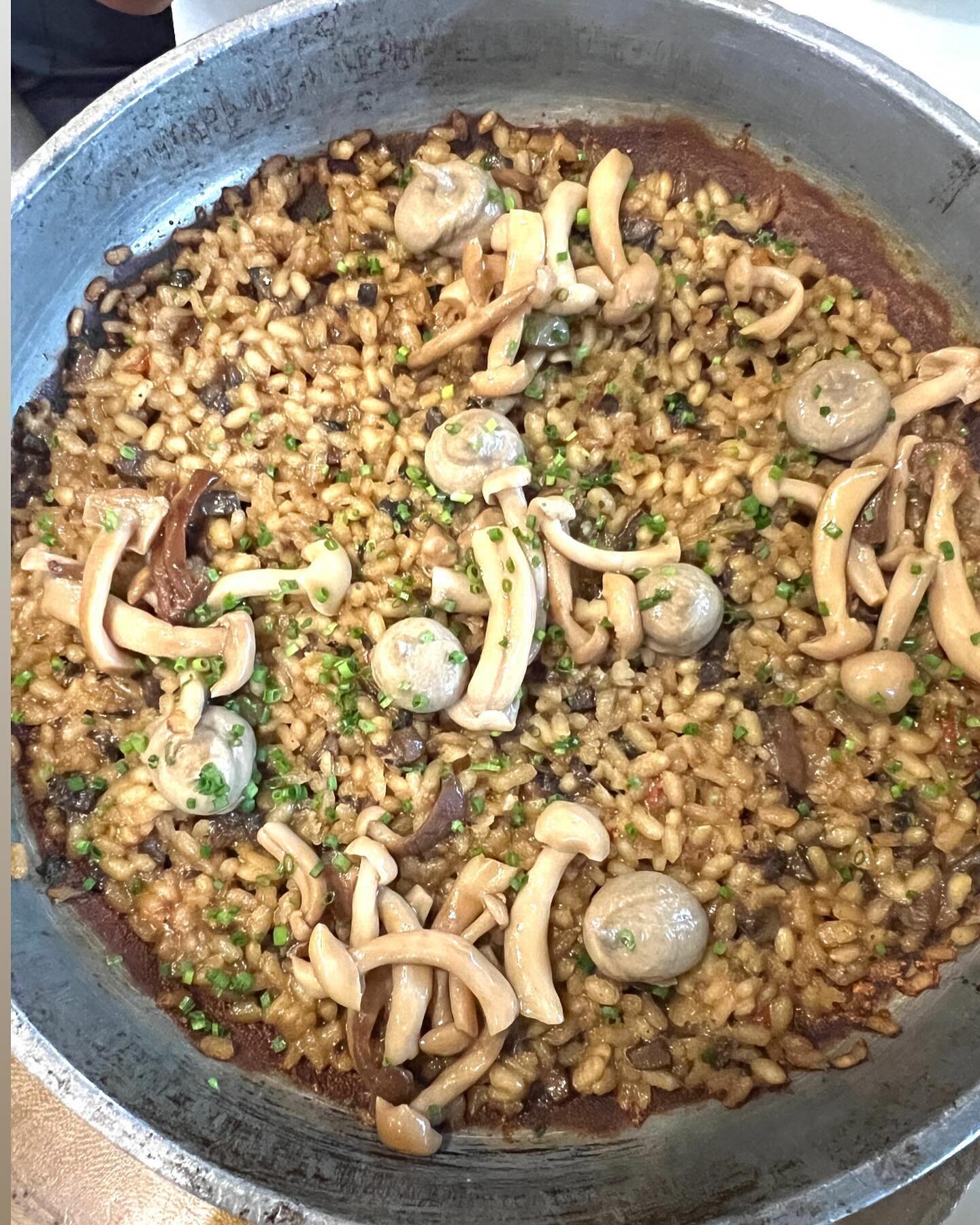 The always fabulous mushroom rice at @lekumiami. 

Weekend brunch or dinner is very special at the authentic ode to Basque cuisine. 

Add on a visit to the @rubellmuseum and a perfect Miami day is planned.

#miabites #miamifood #leku #rubellmuseum