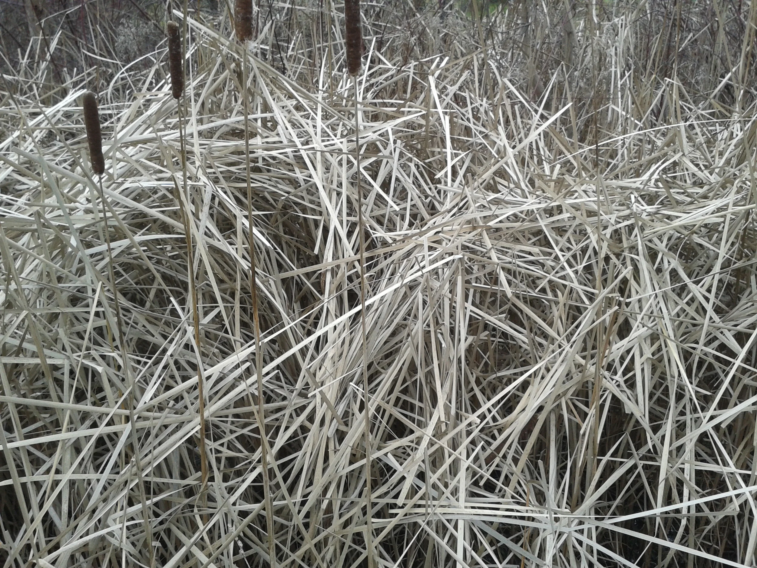 20131116_133219.jpg