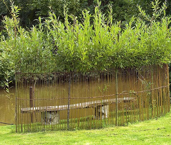 WillowGarden010.jpg