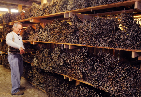 Inventory, 2016 season