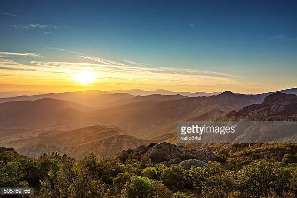 Photo by valio84sl/iStock / Getty Images