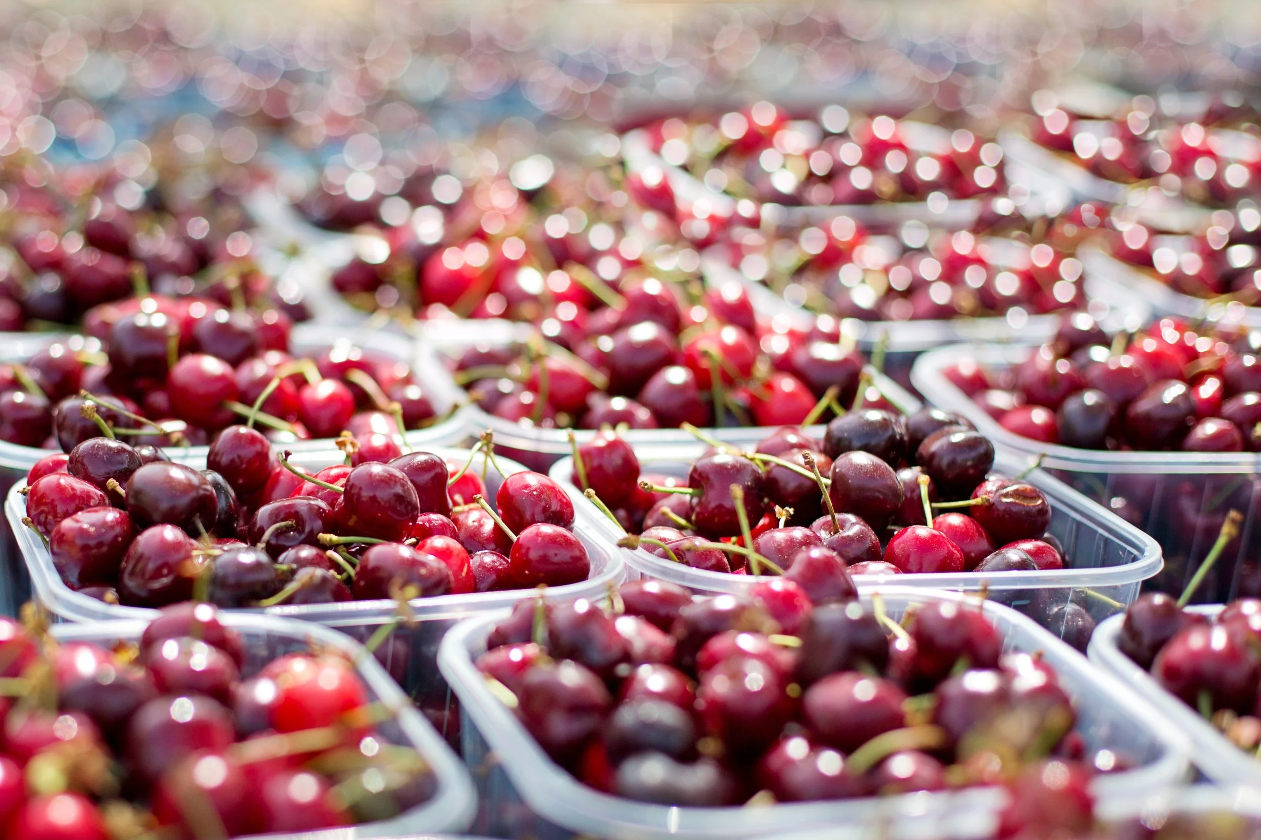 cherries.jpeg