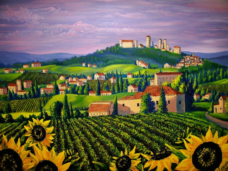 Sunflower vineyard 800.jpg