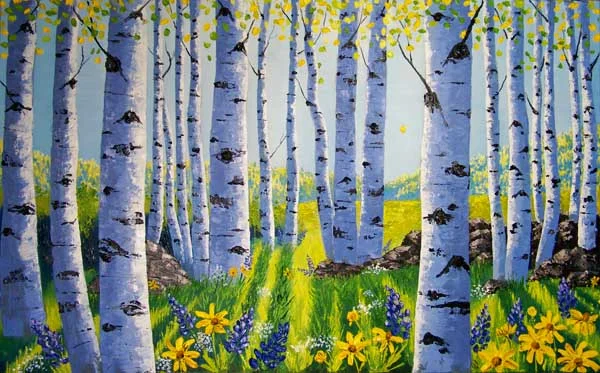 Aspen Shadows 600.jpg