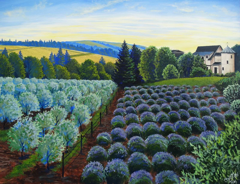 Red Ridge Vineyard