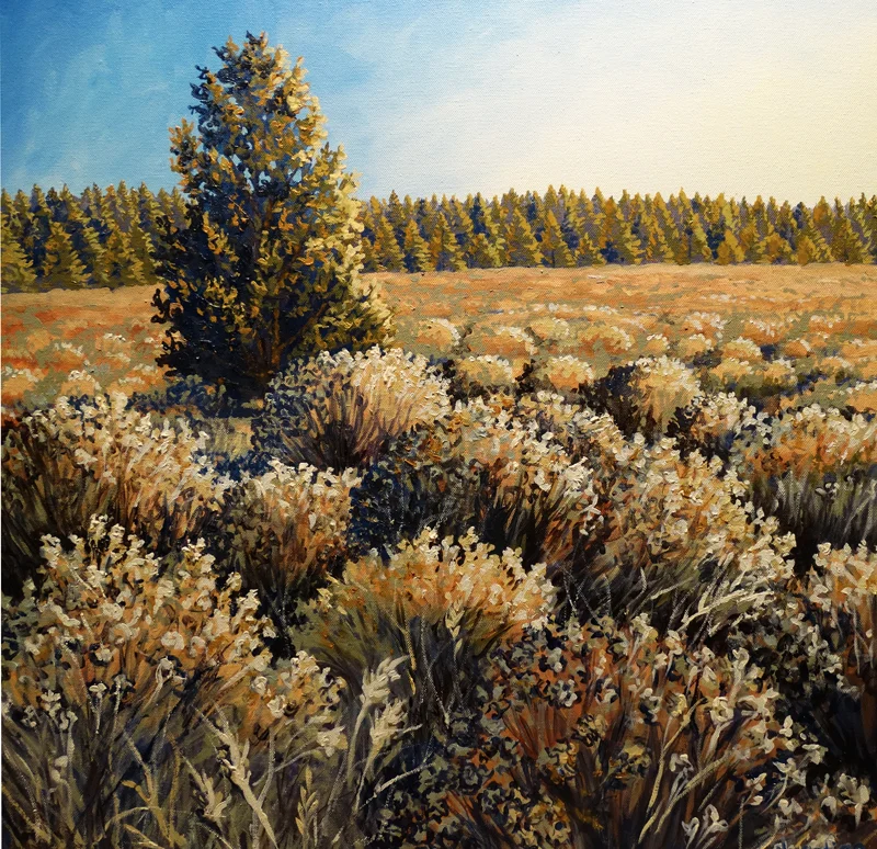 Juniper and Sage