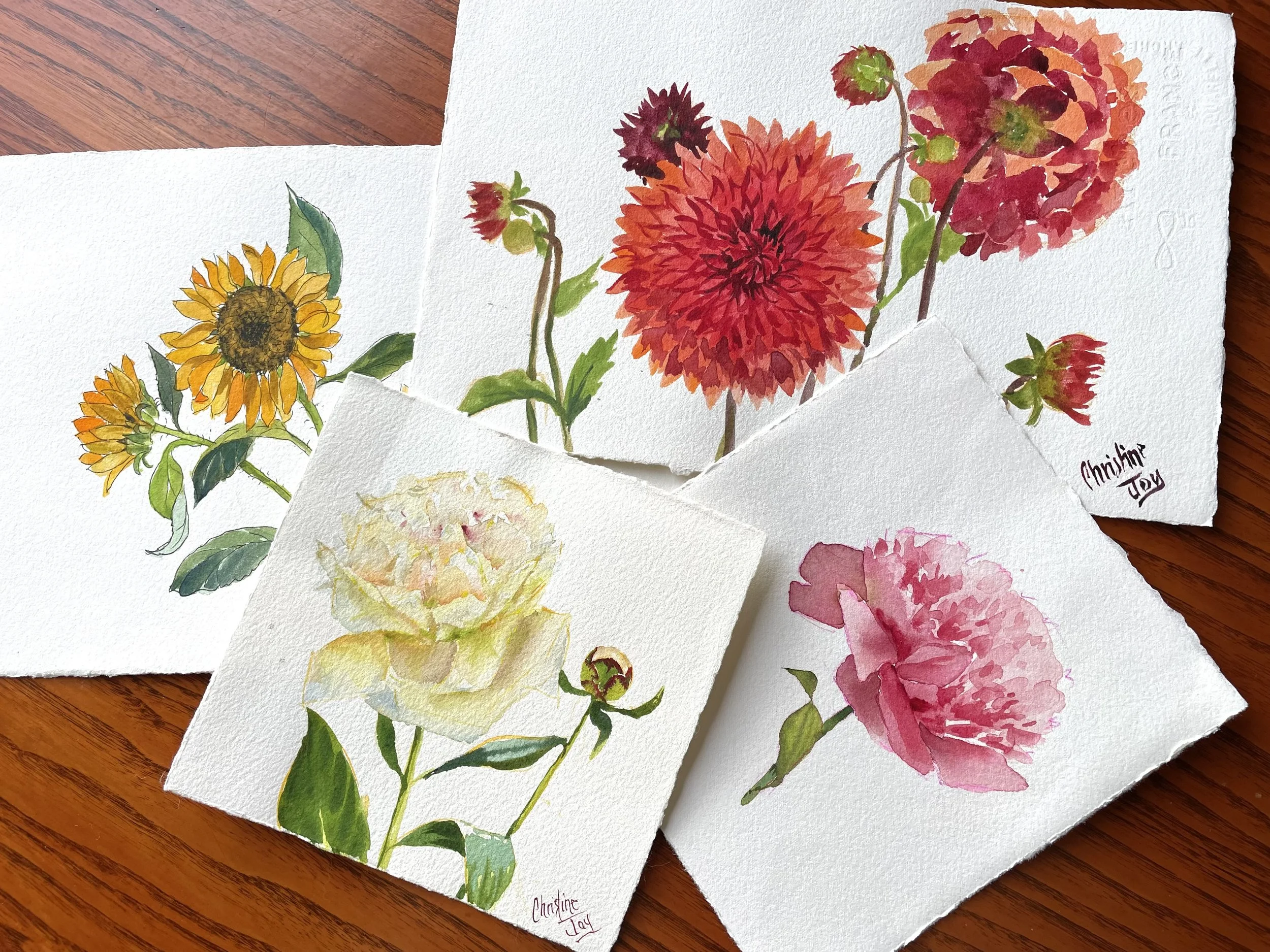 New Round Of Classes At The Chehalem Cultural Center