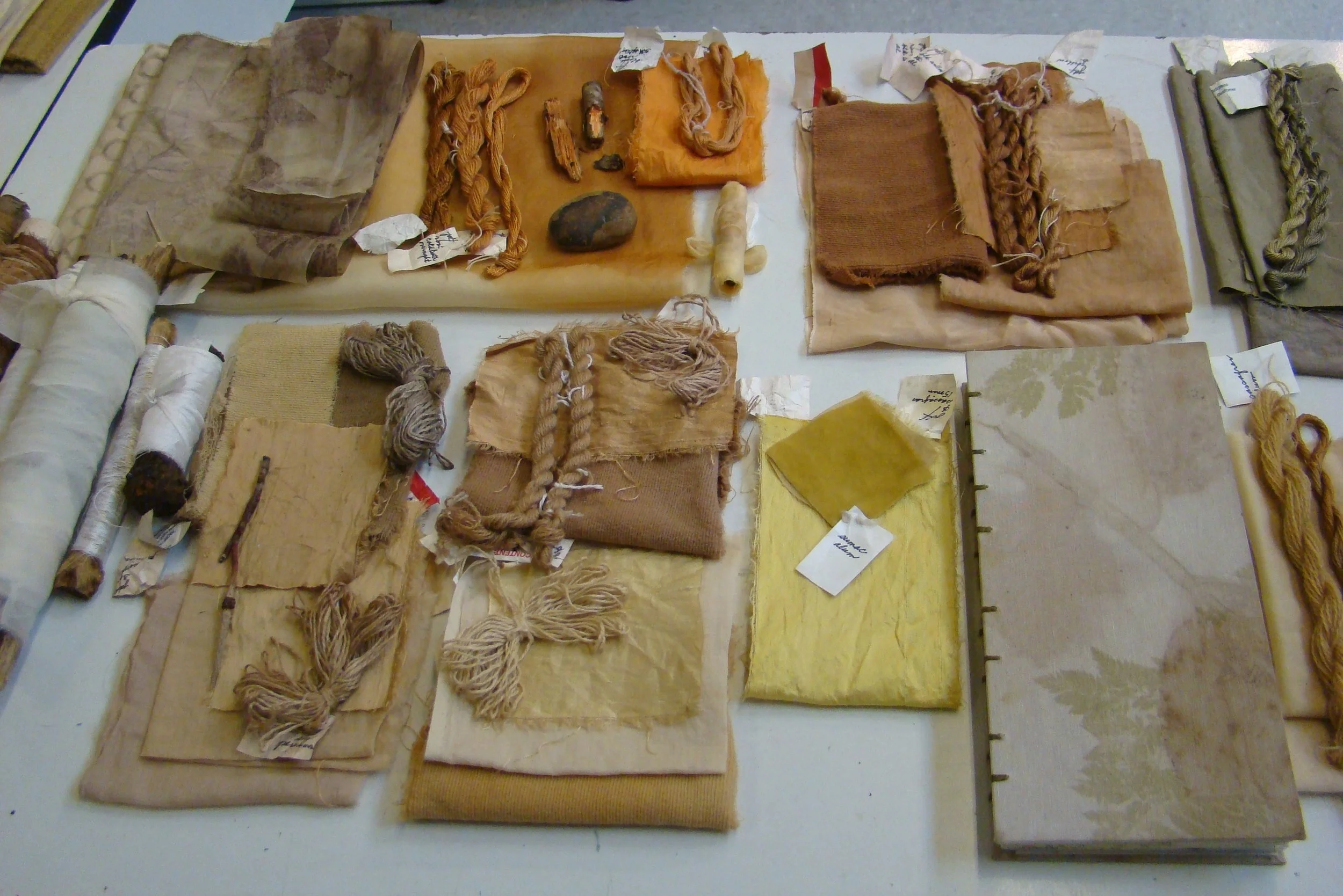 Natural Dye Study Group, Session Two