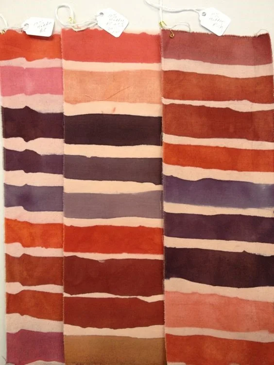 Natural Dye Study Group, Session Two