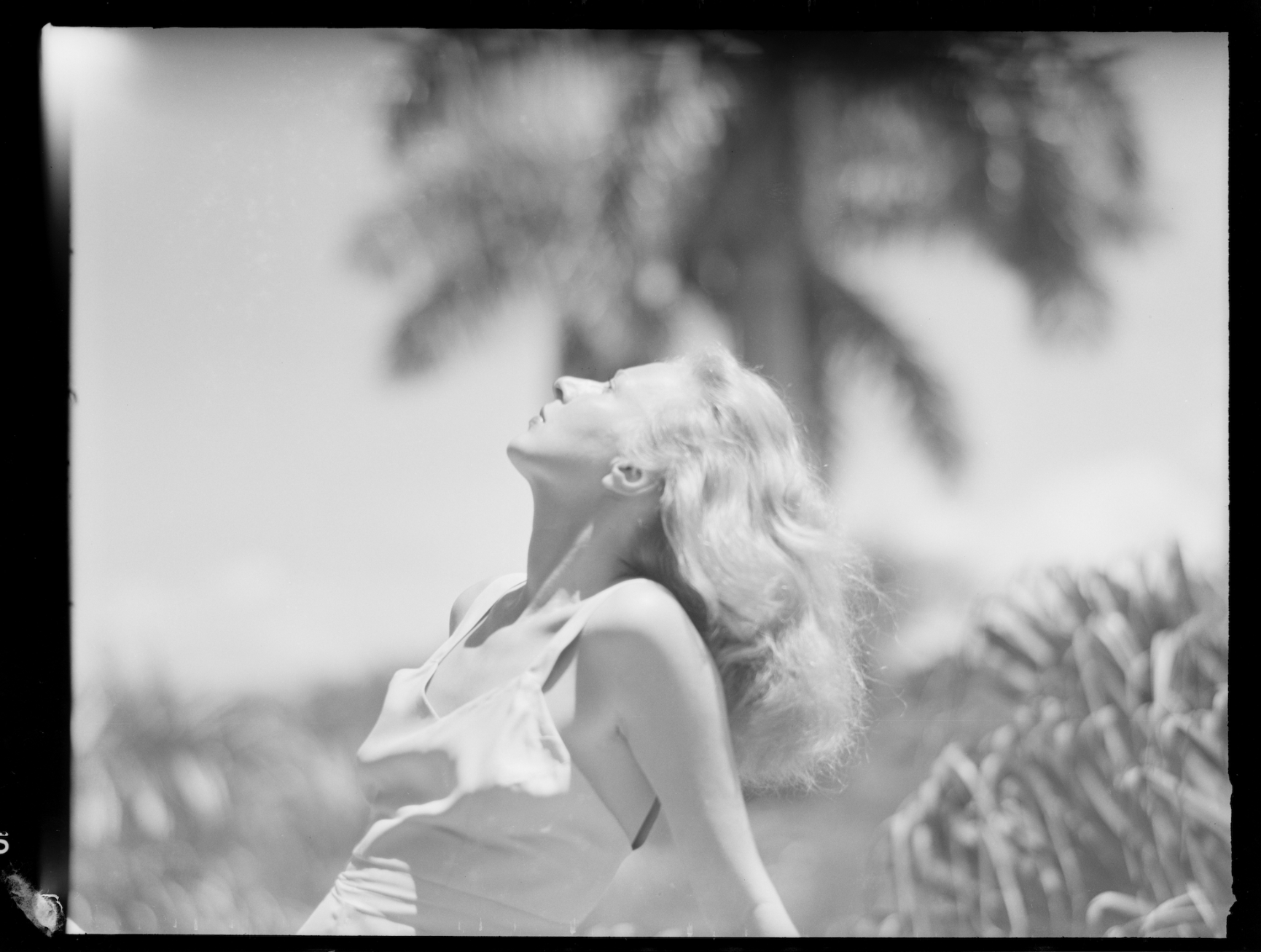 Screenshot 2026-01-19 at 11.31.50 AM.png