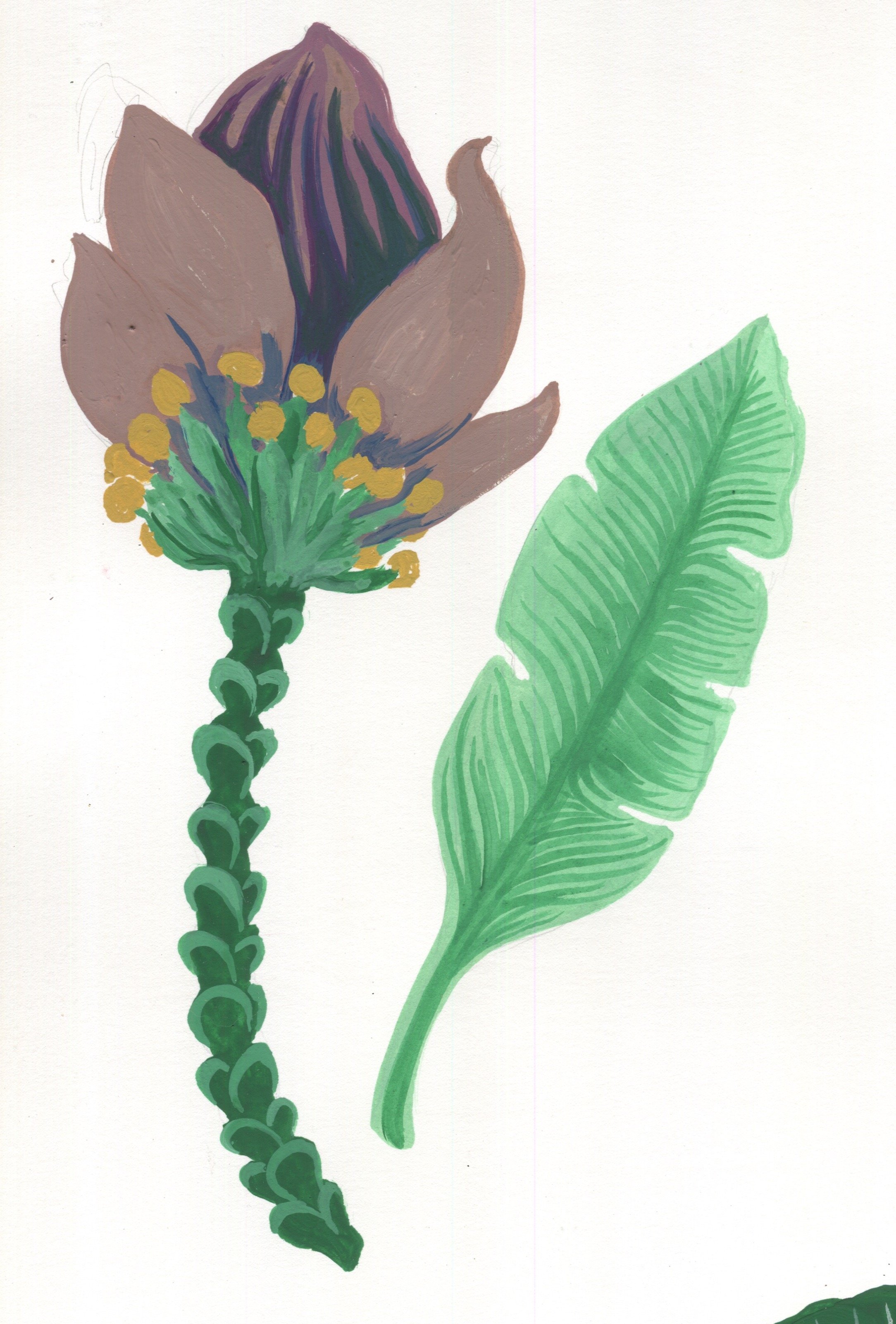 Scan 2.jpeg
