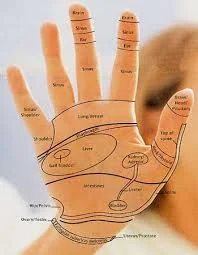  Hand reflexology