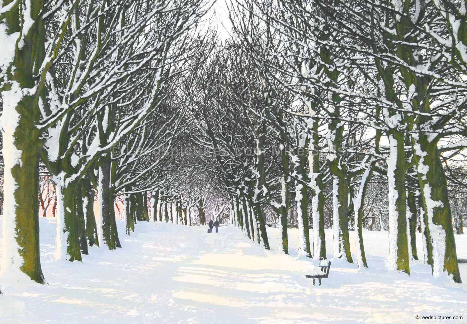 Woodhouse Moor, snow - couple with suitcase Where were they going so early through the snow - was she leaving or were they going away together ...
