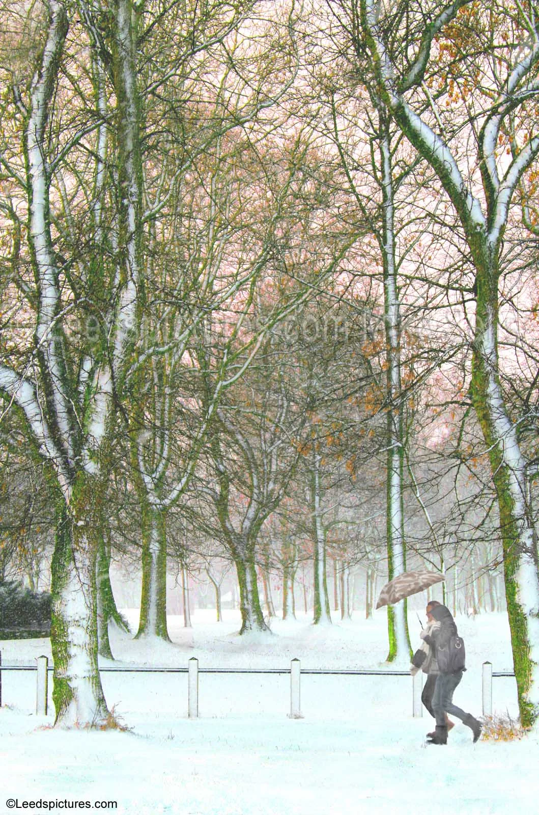 Woodhouse Moor, tall trees, snow, two walkers with umbrella Fine snow as the sun begins to set beyond the park 