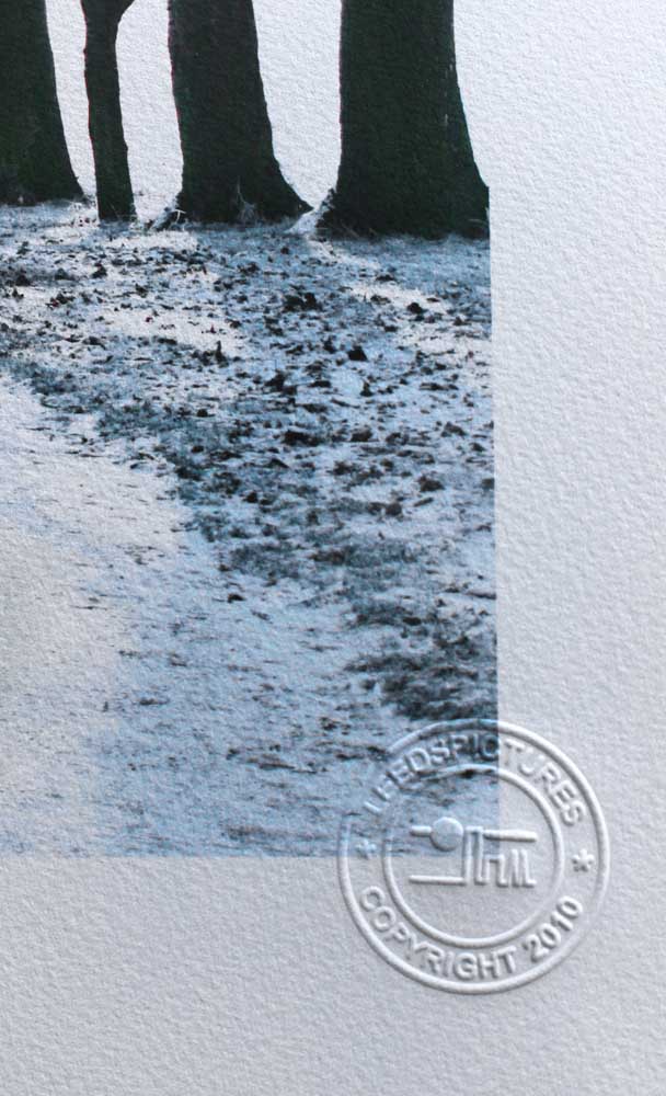 Each print is individually printed and embossed with the copyright mark, signed and numbered