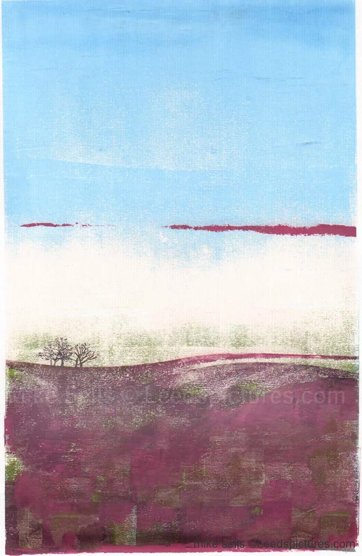 dales view 17 magenta fild copy.jpg