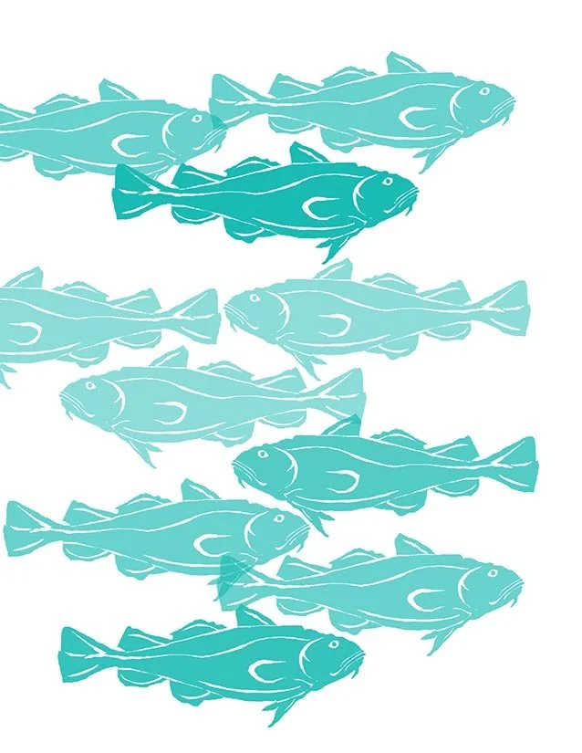 Cod Multi- Folded notes turquoise- front.jpg