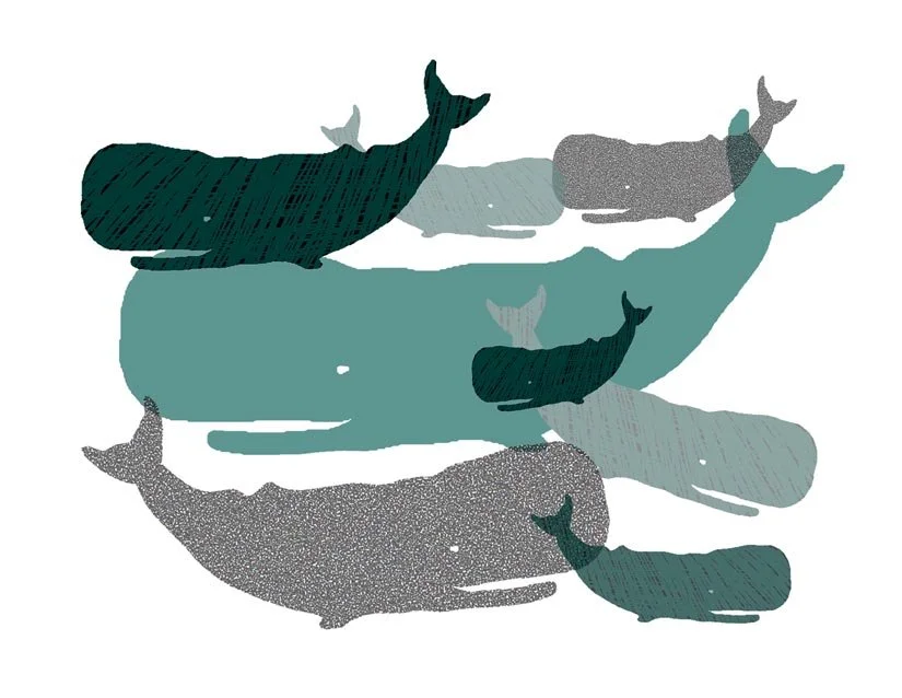 multi whale notecard.jpg