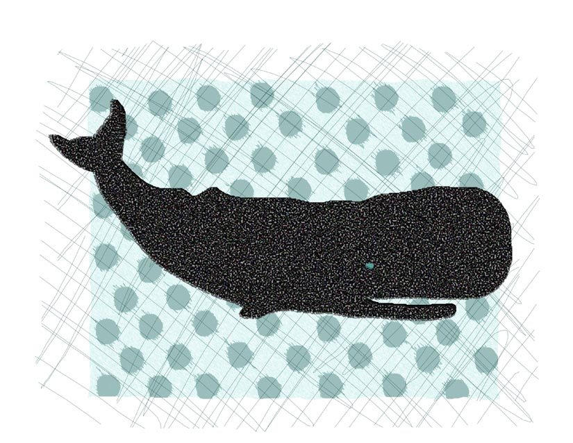 whale dots notecard.jpg