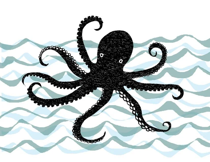 octopus notecard horiz black.jpg