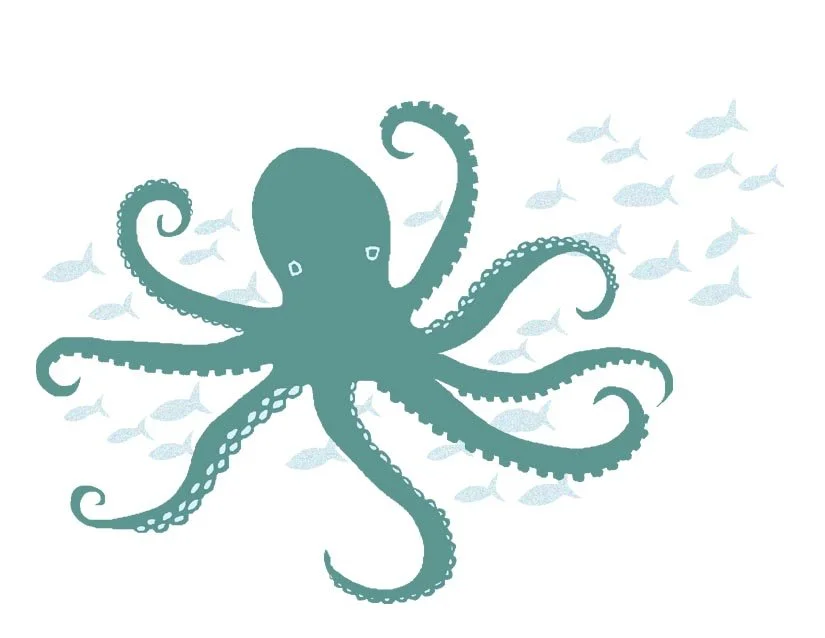 octopus notecard horiz blue.jpg