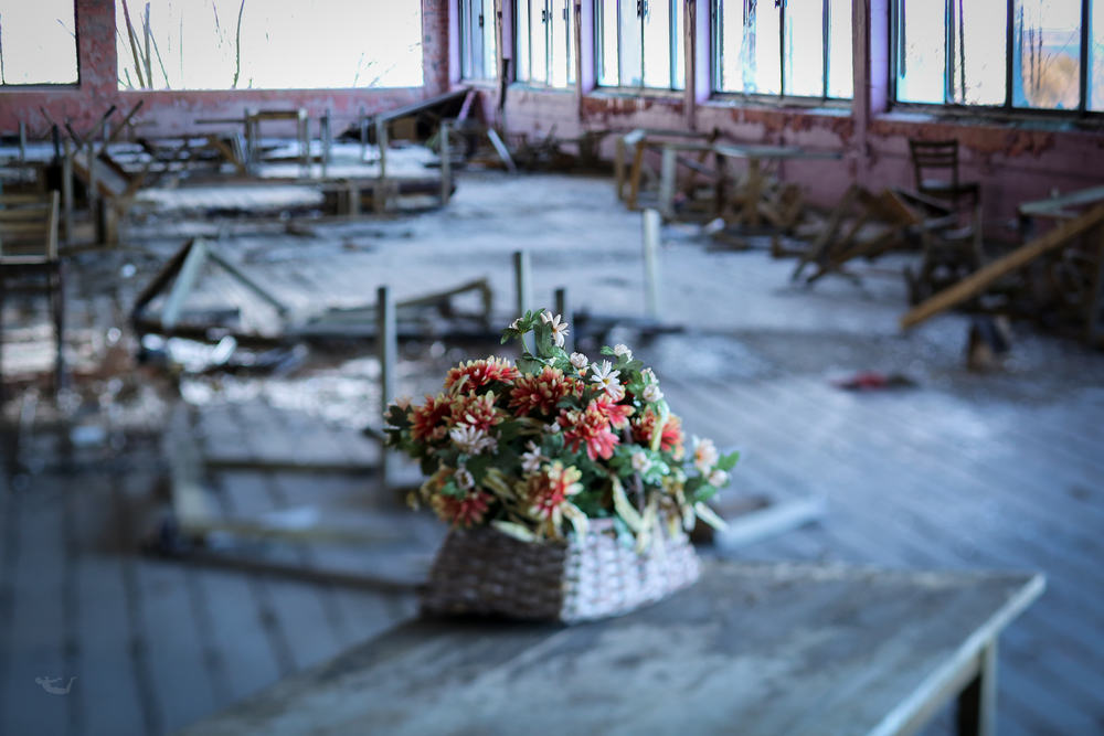 abandoned.spaces.flowers.RI.jpg