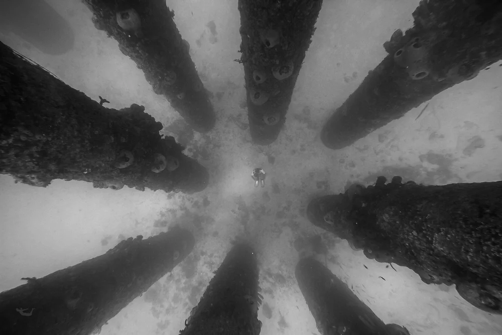 DIVING