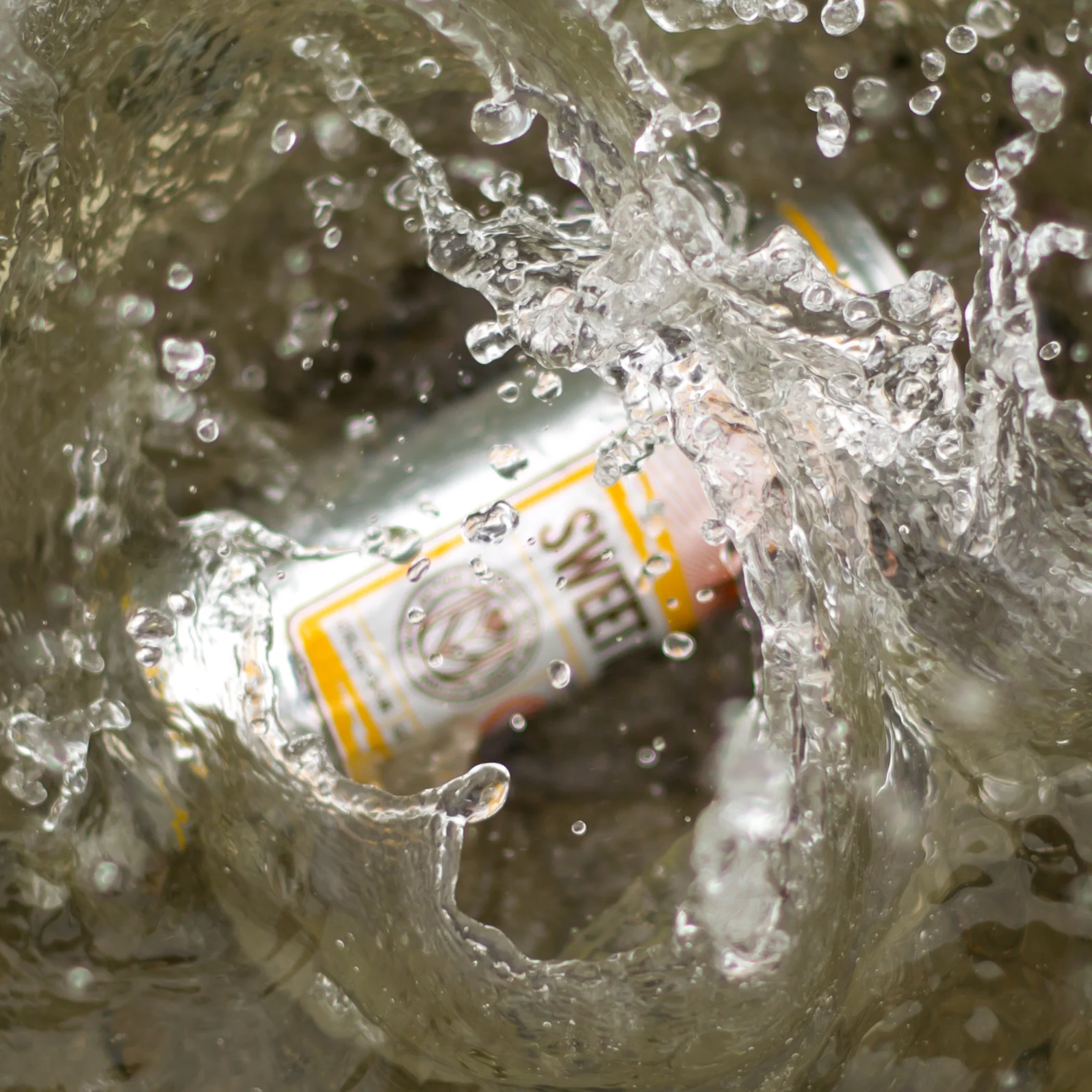 SIX.POINT.CONTENT.1 (183 of 238).jpg