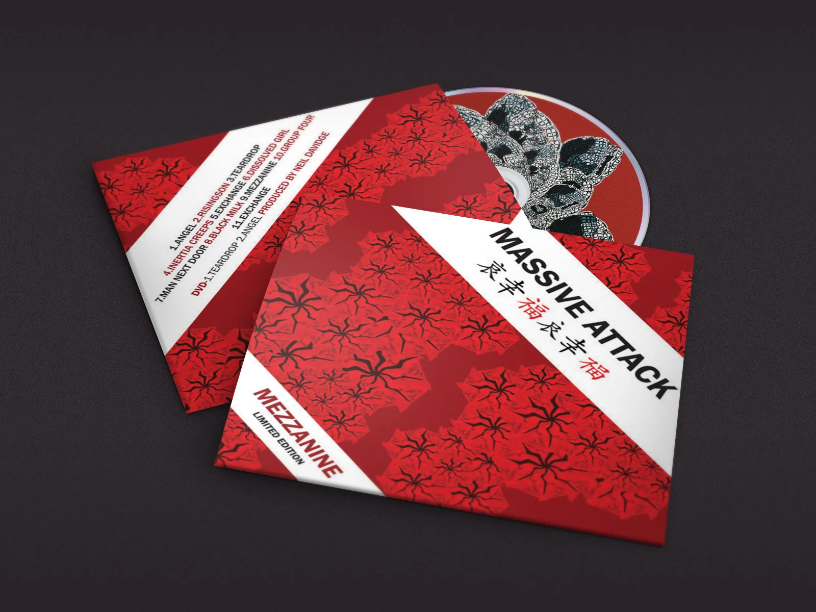 CD-Folder-Mock-2 copy.jpg