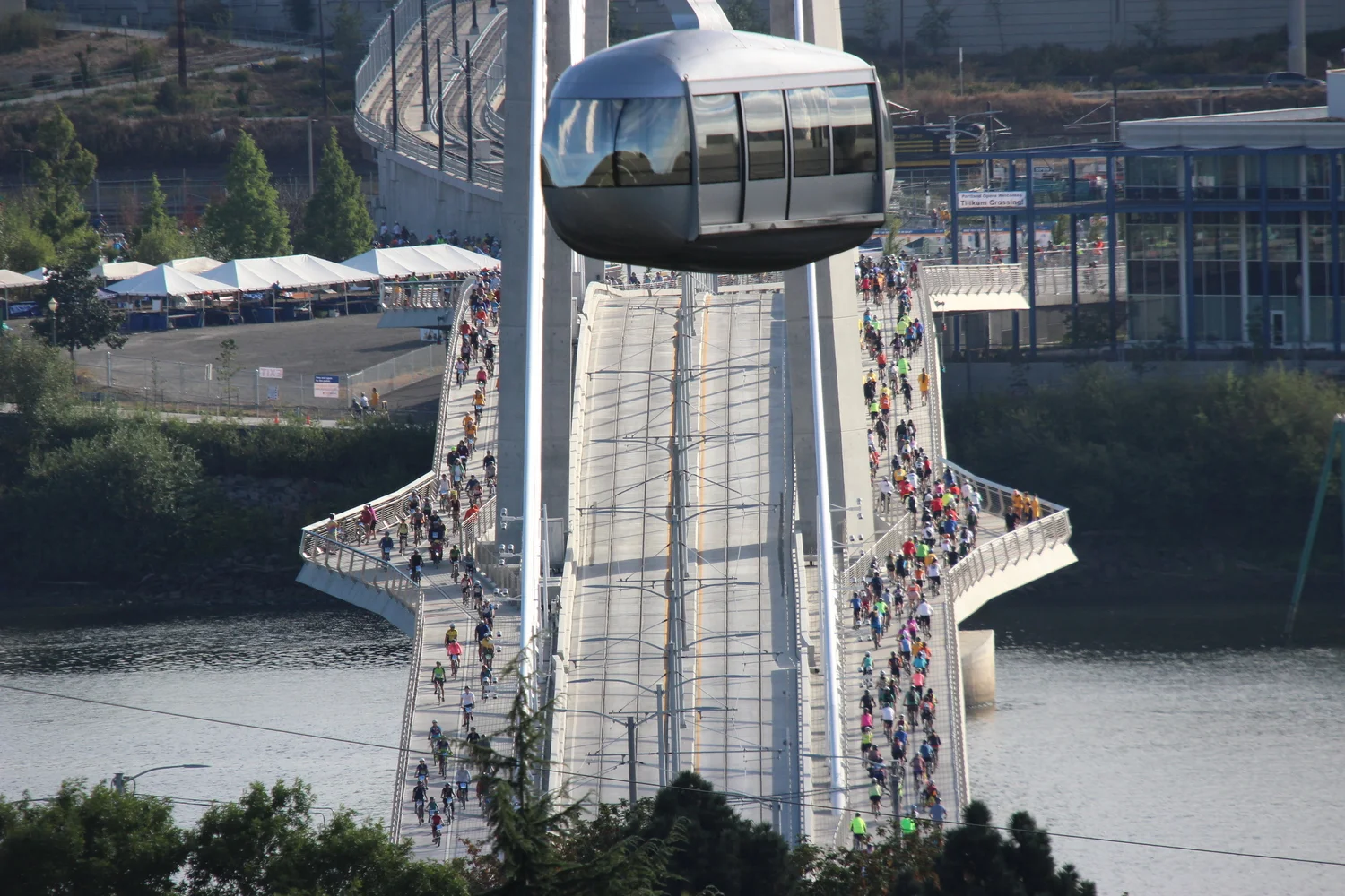 Tram and Tilikum_randyglary.jpg