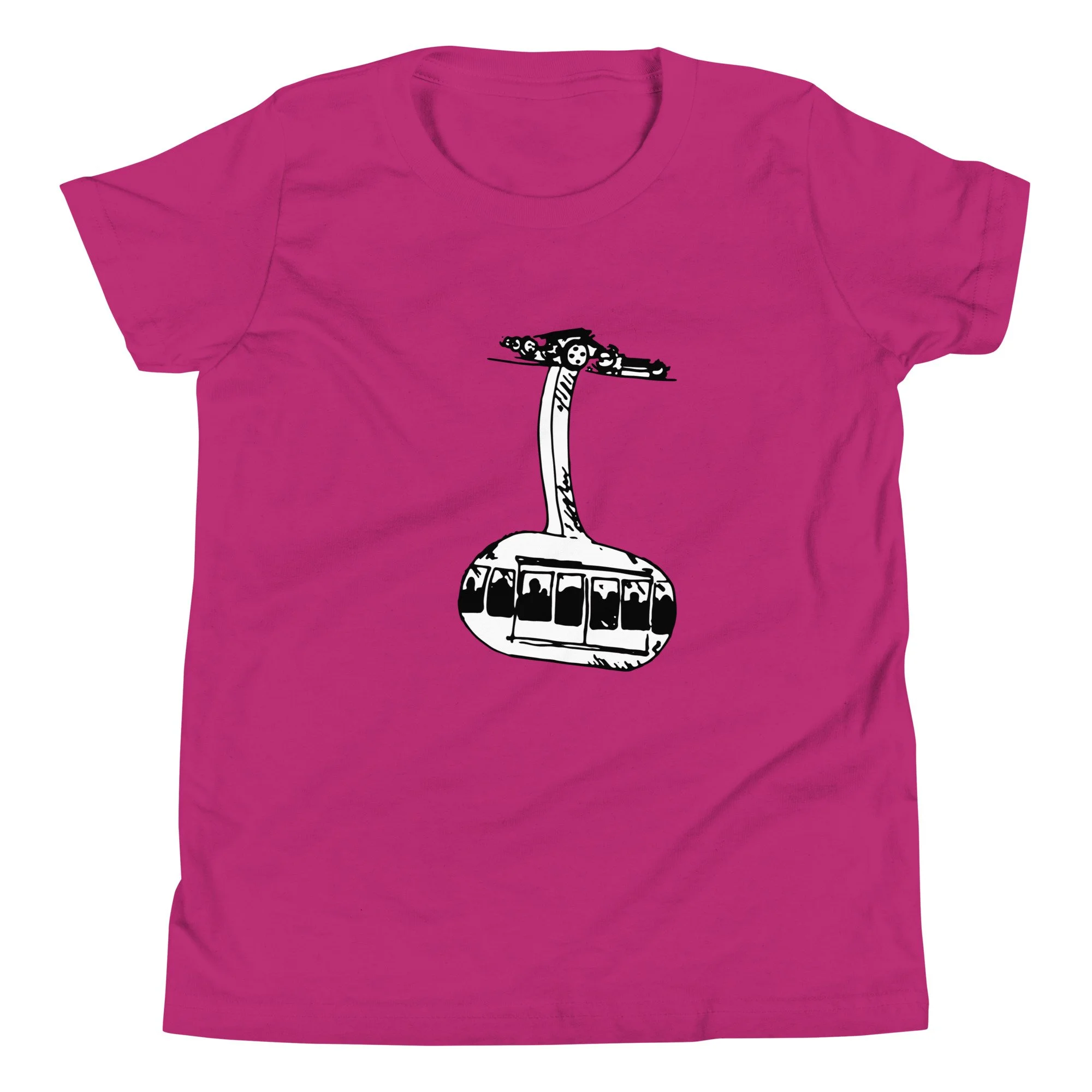 youth-staple-tee-berry-front-6ae366790861b.jpg