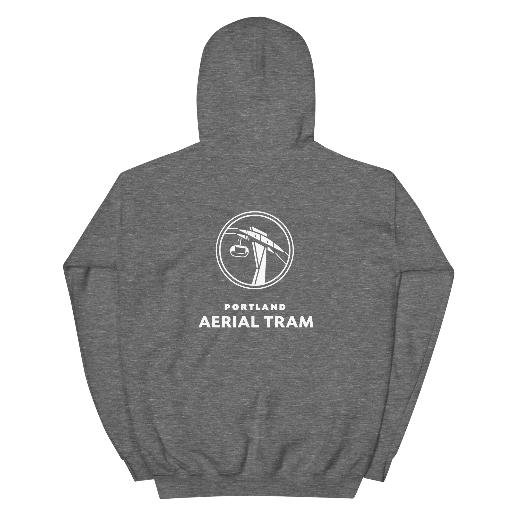 unisex-heavy-blend-hoodie-graphite-heather-back-6ae37abc3db0c.png