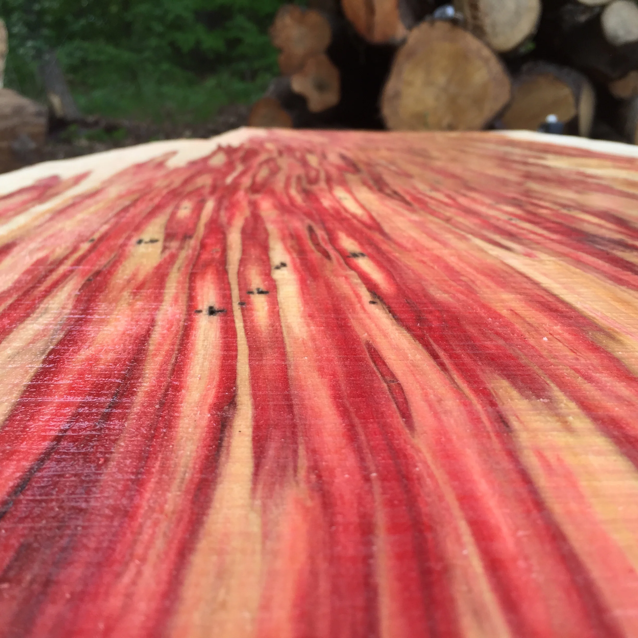 Flame Box Elder — Austin Corporation