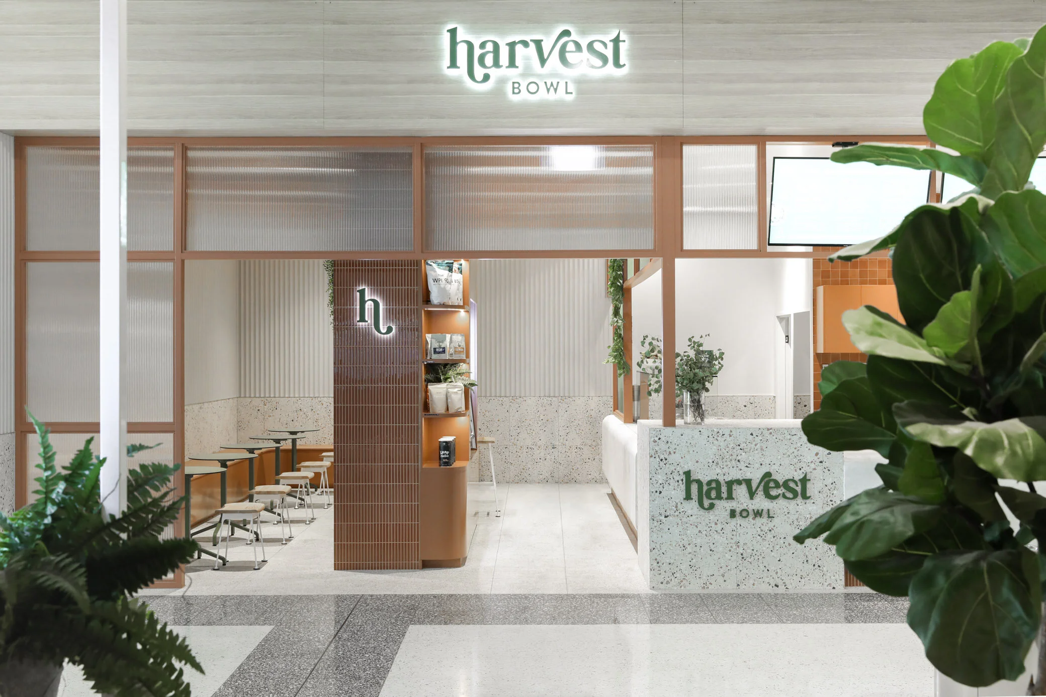 Sketch Lab - Harvest Bowl-2.jpg