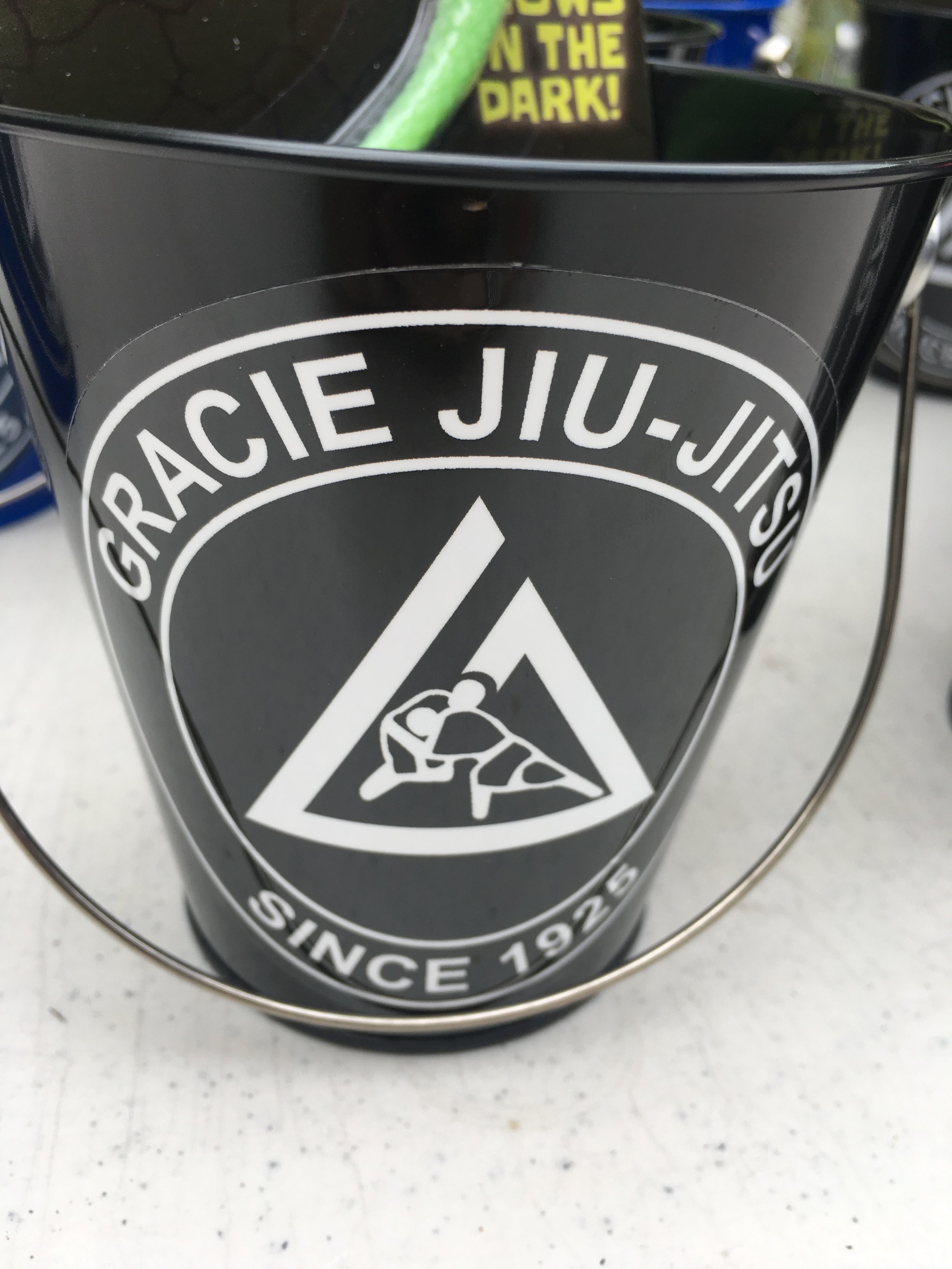 gjiujitsu birthday party.JPG