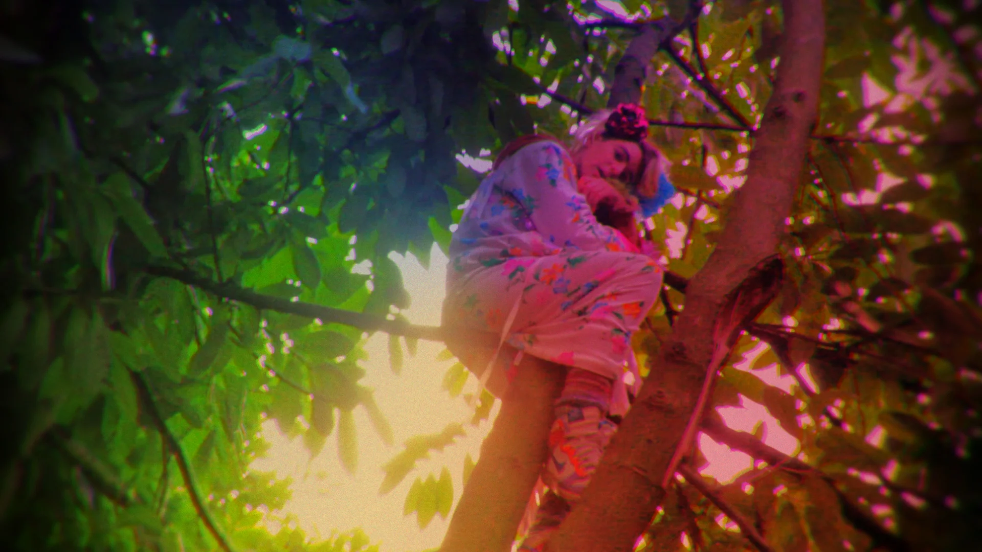 Artist portrait #3 : Go! Push Pops