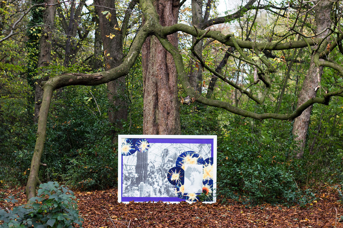 Alexandra Arts Pankhurst in the Park Nov 1