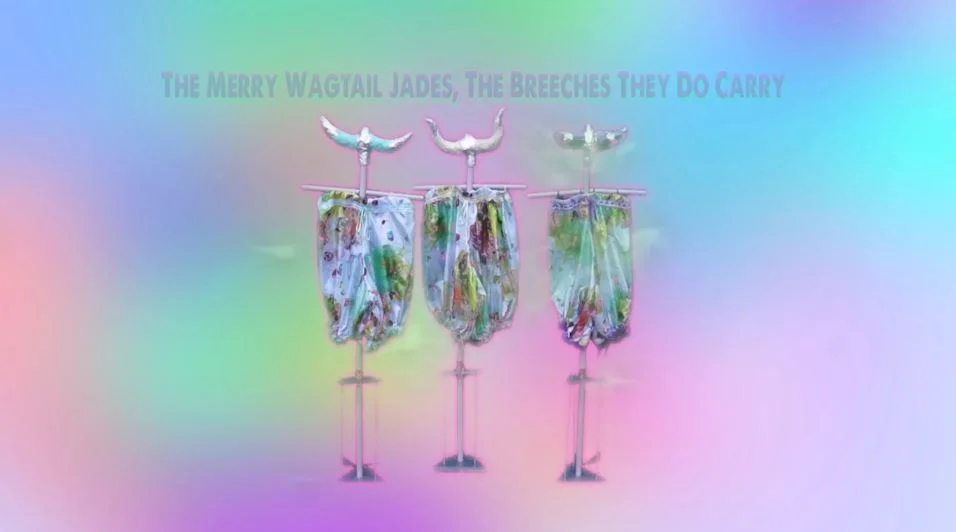 Video artist portrait Anna FC Smith