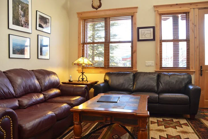 Living-Area211.jpg