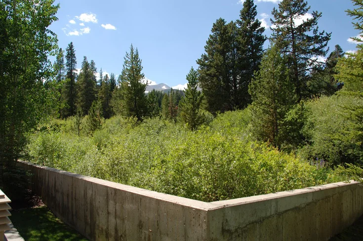 balcony-view.jpg