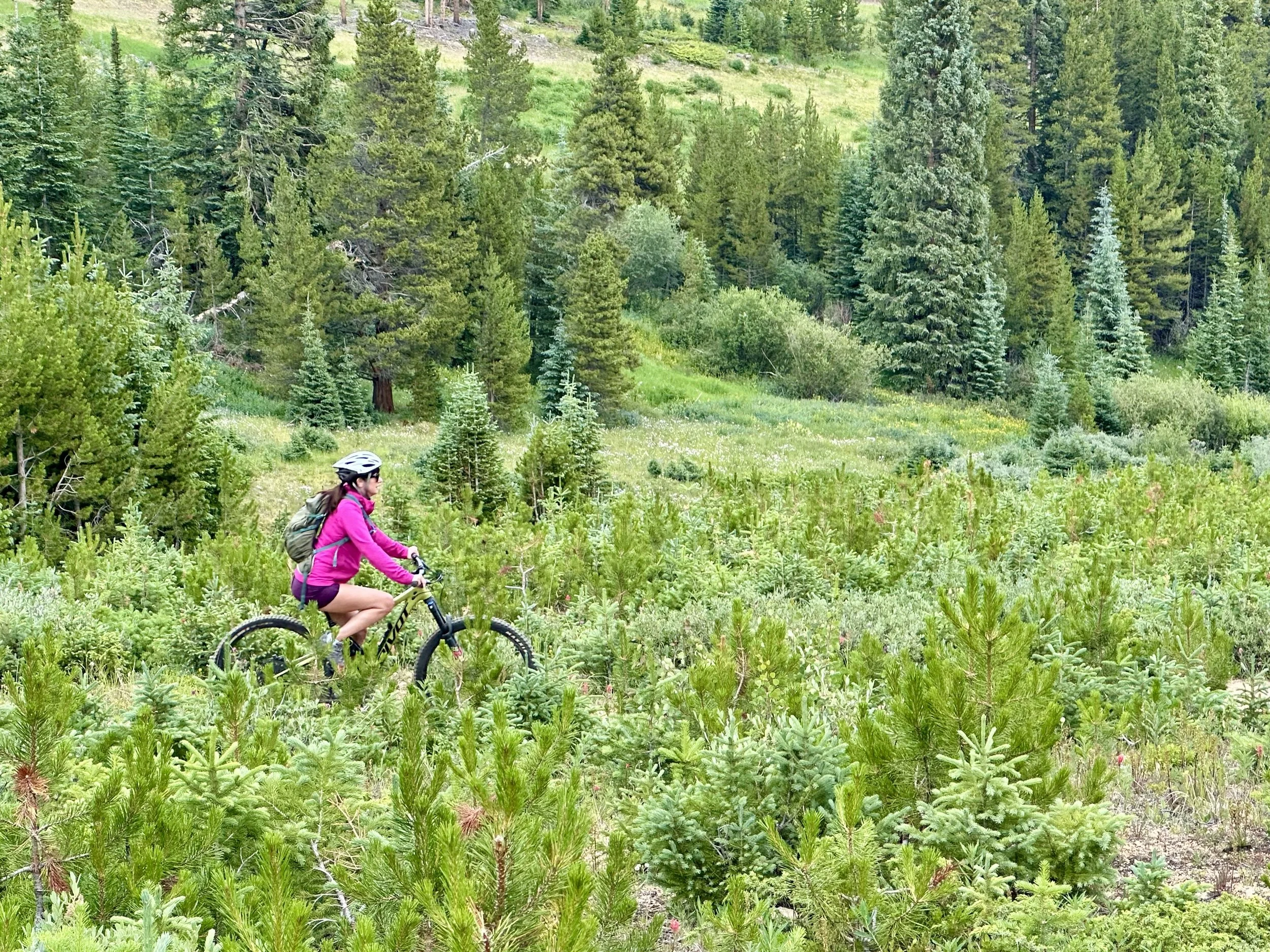 Mountain Biking Summer Tanya .jpeg