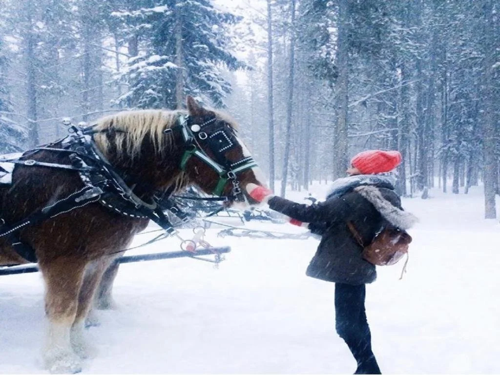 Girl and Horse Winter.jpeg