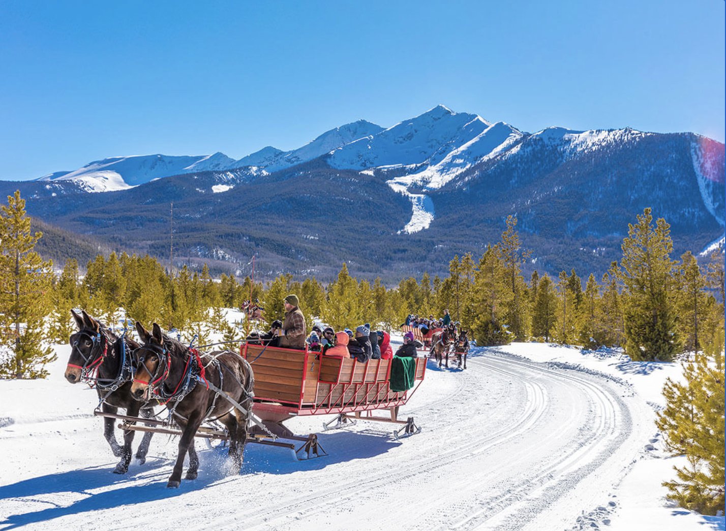 Horse sleigh.jpg