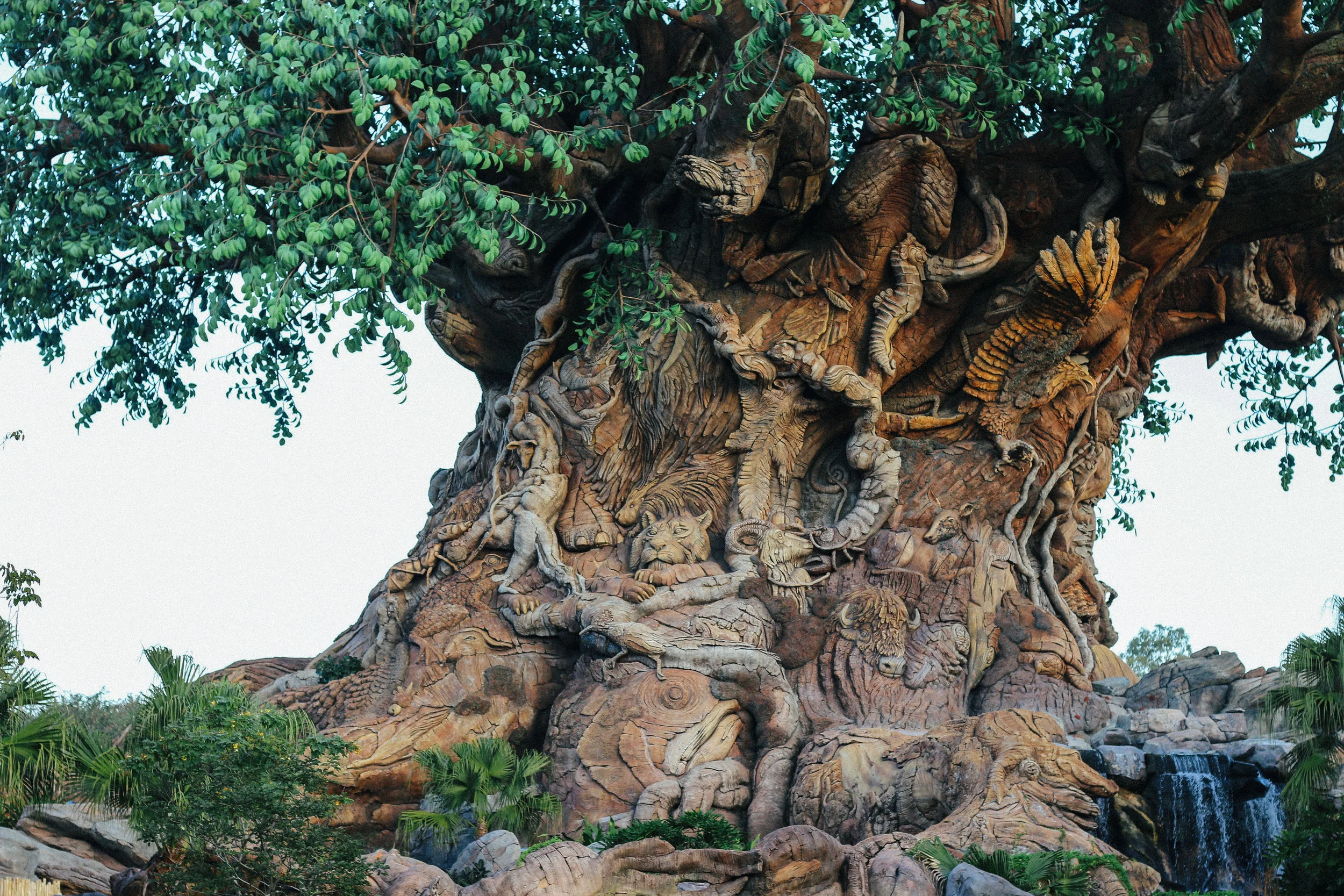 The Details of Disney : A Photo Essay - Walt Disney World — The Truth