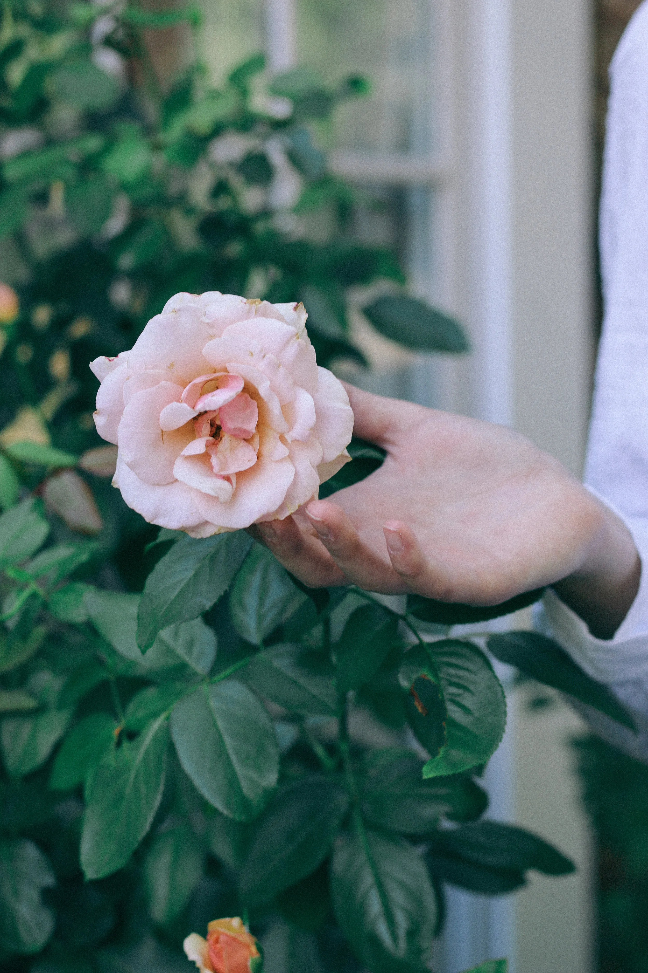 20180729_BAPPhotography_AtlantaPhotographer_25.jpg