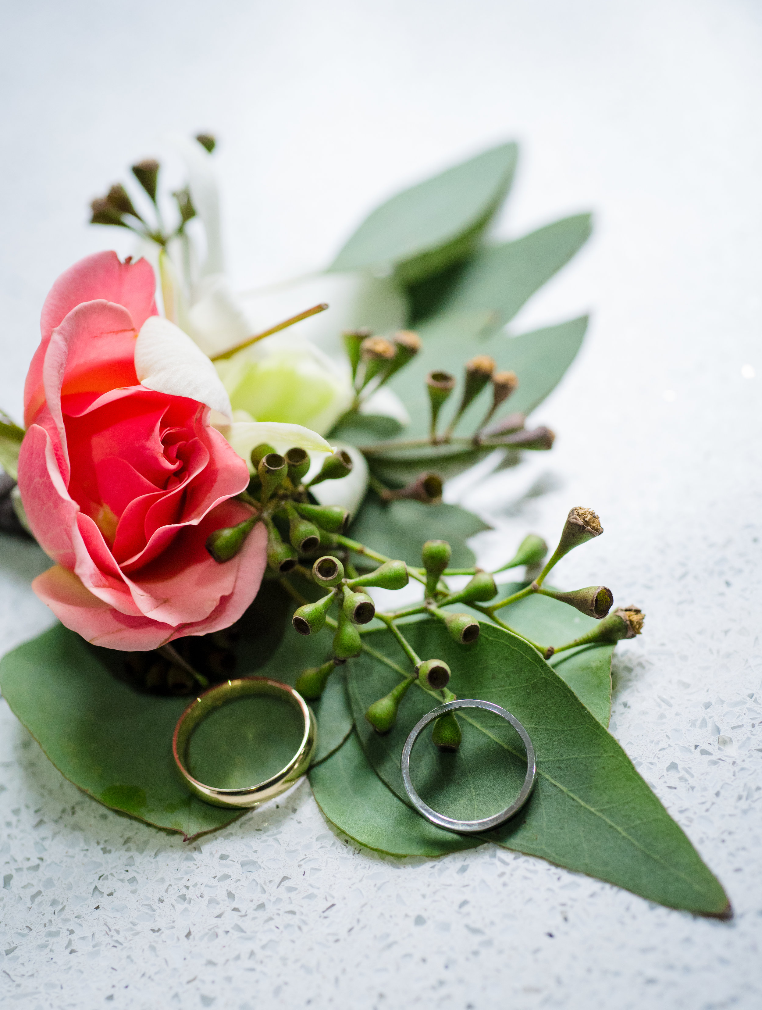 Daniel__Rougui_wed_2018_montreal_wedding_photographer_lana_nimmons_photography23876.jpg