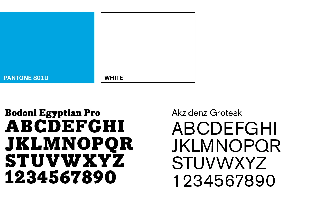 branding stuff .jpg